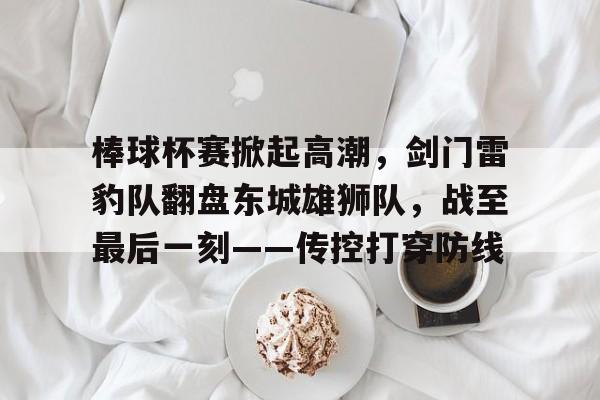 体育官方应用-关于棒球杯赛掀起高潮，剑门雷豹队翻盘东城雄狮队，战至最后一刻——传控打穿防线的信息