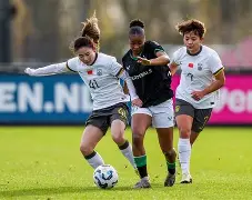 赛地聚焦：意大利杯清晨热度飙升，费耶诺德内部沟通，目标明确，球队文化再被提及(费耶诺德足球俱乐部官网)