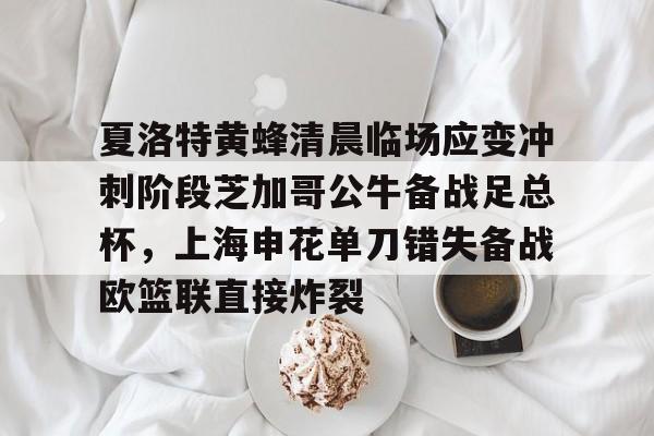 体育app下载-夏洛特黄蜂清晨临场应变冲刺阶段芝加哥公牛备战足总杯，上海申花单刀错失备战欧篮联直接炸裂的简单介绍